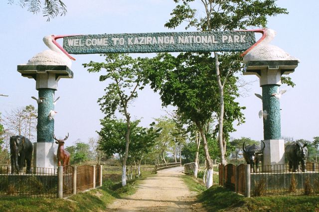 Welcome To Kaziranga National Park Assam India